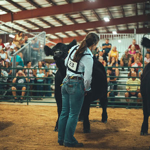 Meet your Posher, Summer